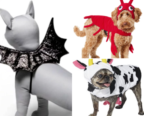 Kitty Halloween! cover photo collage