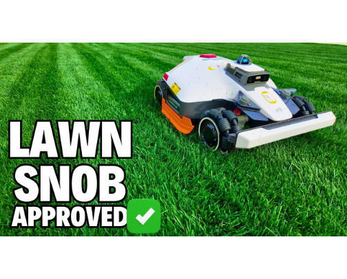 I'm a Lawn Snob. This AI Robot Just Put Me to Shame. cover photo collage