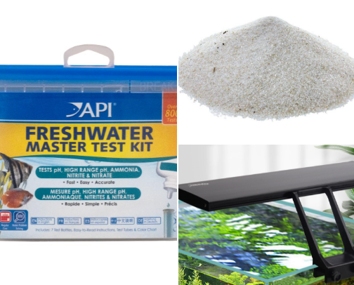 Betta tank cover photo collage