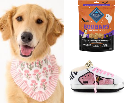 Must-Have Dog Essentials cover photo collage