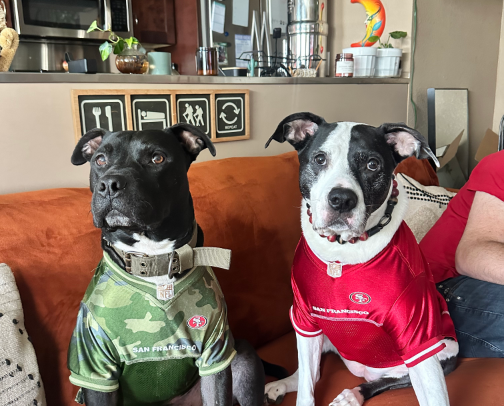 Cosas para la Casita 🏡 cover photo collage