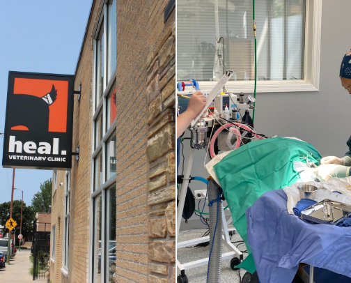 Trusted Vets & Clinics cover photo collage