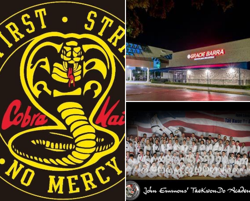 Best Martial Arts Schools & Karate Classes in Kissimmee, Poinciana & Orlando: A Parent's Guide + Training Gear cover photo collage