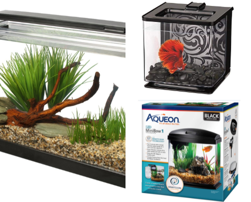 Betta Haven – Simple Setups for Vibrant Bettas cover photo collage