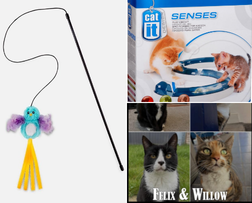 Minimalist Cat Essentials cover photo collage