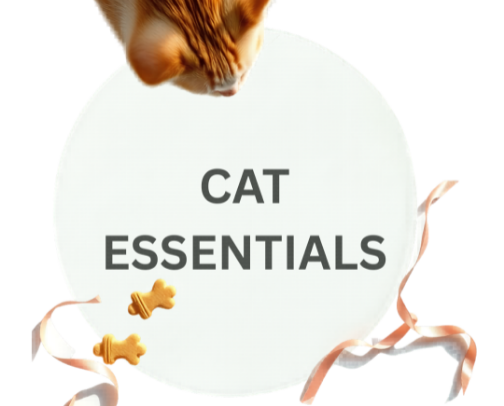 🐾 Zorro & Lilly’s Guide: Minimalist Living for Picky Cats cover photo collage