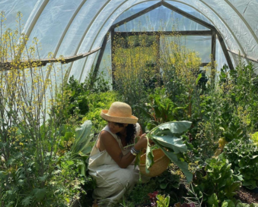 gifts ideas for the chic gardener in your life cover photo collage