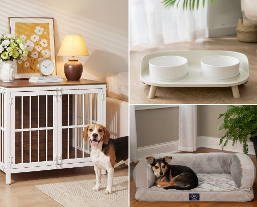 Essentials for life with a small dog cover photo collage