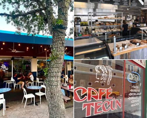 fun in the west palm beach area ☀️🌊🐚🥥 cover photo collage
