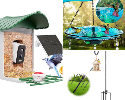 My cabin surroundings 🦌🐦 cover photo collage