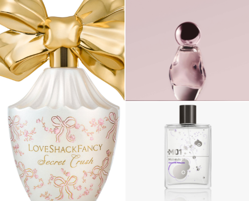 Perfumes that get you compliments cover photo collage