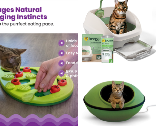 First Sphynx Kitten? Hairless Must Haves for your Cat cover photo collage