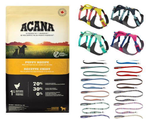 Puppy Survival Kit cover photo collage