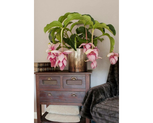 Skincare~ my acne prone favs cover photo collage