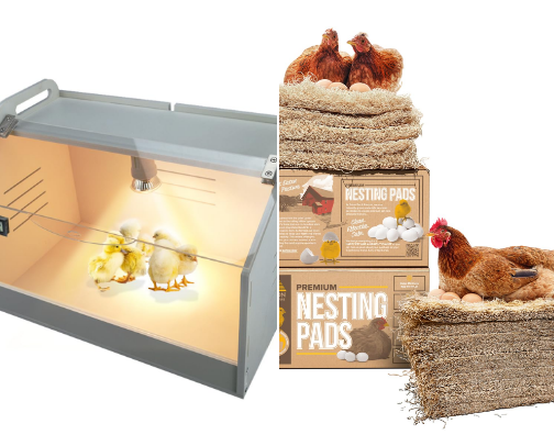 Chicken Care cover photo collage