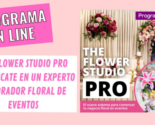The Flower Studio PRO cover photo collage