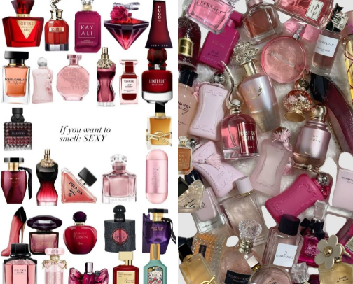 The must haves perfumes that turn heads cover photo collage