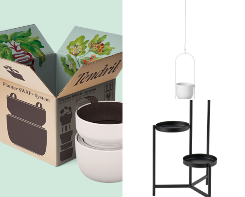 Plant parent must haves 🪴 😌 cover photo collage