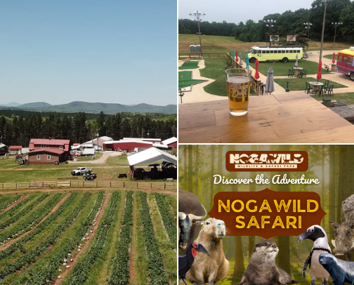 Things to do in North Georgia cover photo collage