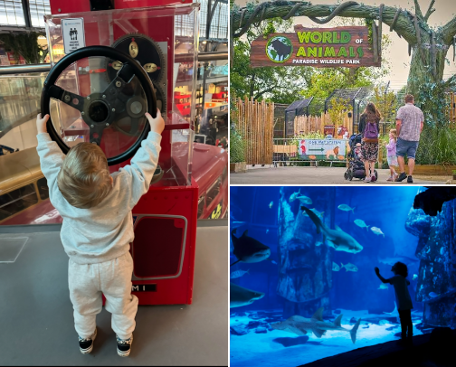 Family Days Out (Boys Mum Edition) 💙 cover photo collage