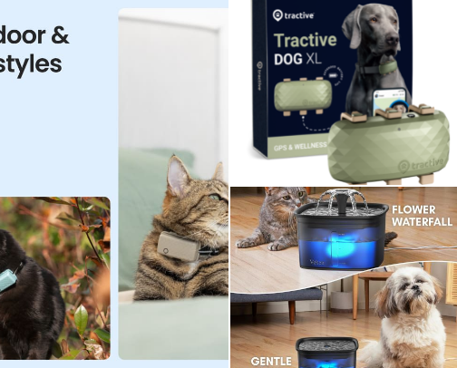 All Things Pets cover photo collage