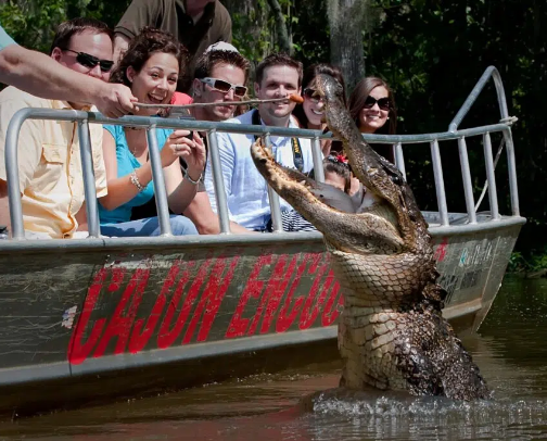 Cajun Encounters Tour Co. cover photo collage