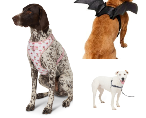 Doggie favs🐾🩷 cover photo collage