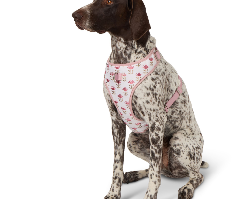 Doggie favs🐾🩷 cover photo collage