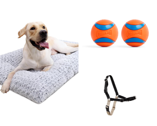 Getting a Dog? I'd Buy These Essentials First cover photo collage