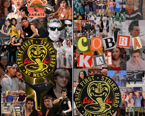 Fall must haves for Cobra Kai fans🐍 cover photo collage