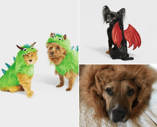Halloween Themed Pet Gifts & Costumes cover photo collage