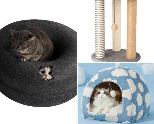 Best amazon finds for cat mamas/dads😻 cover photo collage
