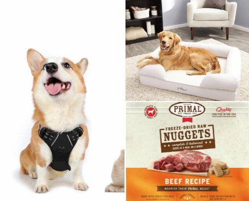 Picky Pup Approved: Daily Essentials Lucy & I Love cover photo collage