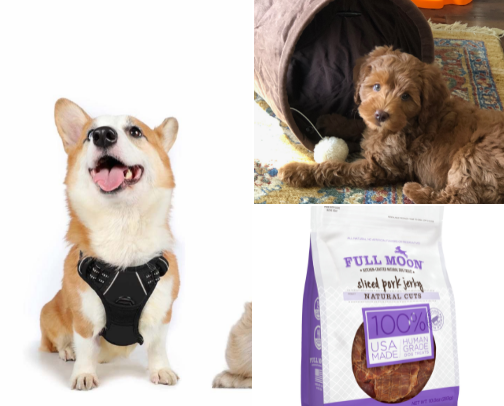 Picky Pup Approved: Daily Essentials Lucy & I Love cover photo collage