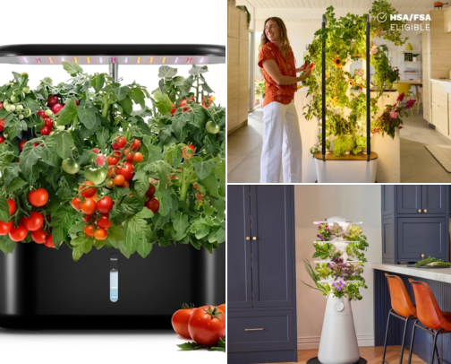 Hydroponic Setups cover photo collage