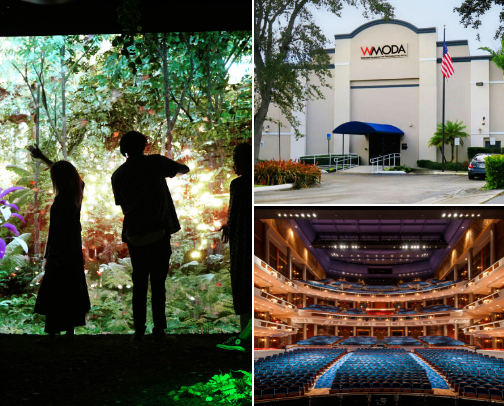 South Florida Entertainment cover photo collage