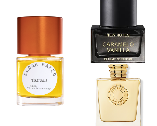 Perfumes to wear this Fall🍂 🍁 cover photo collage