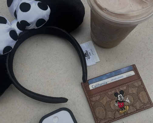 Walt Disney World Essentials, Accessories, and Wardrobe cover photo collage