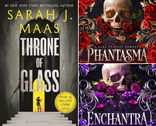My Current TBR cover photo collage