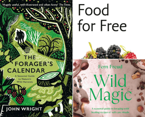 Essential Self-sufficiency books cover photo collage