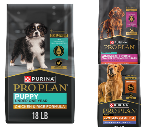 Best pet products cover photo collage