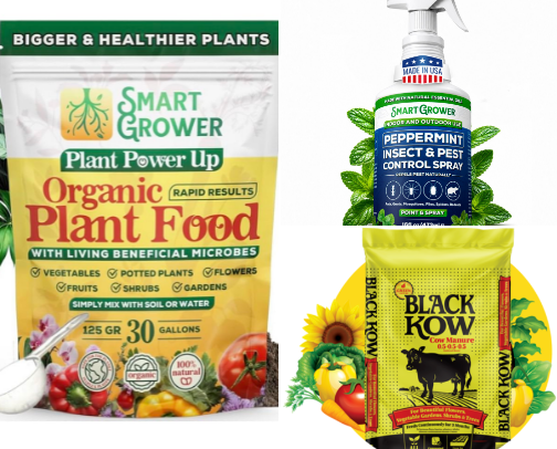 Hustlinmama plant favorites plant stuff cover photo collage