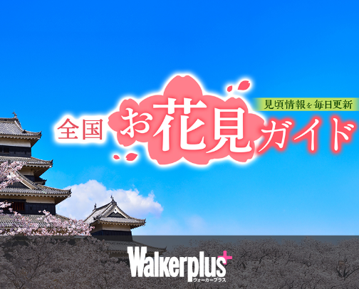 美しい日本 cover photo collage