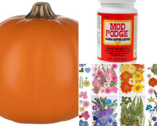 Pressed flower Pumpkin cover photo collage