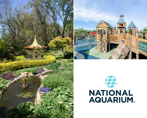 It's Baltimore, Hon! cover photo collage