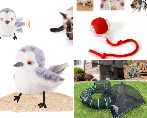 Cat toys cover photo collage