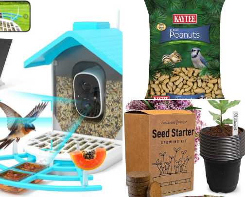 Outside activities and nature watching cover photo collage