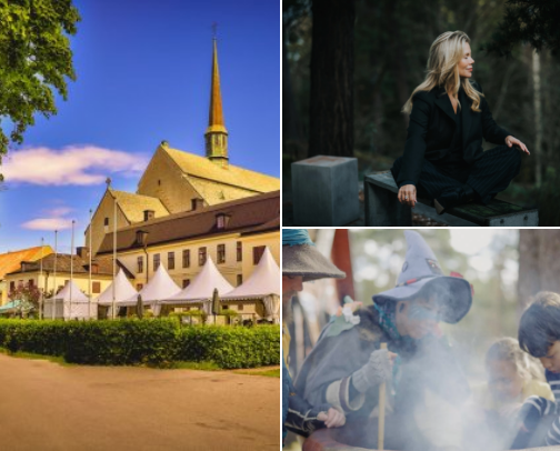 Places in Sweden I’ve Visited and Truly Loved cover photo collage