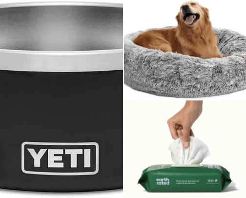 Pets-Pet Care cover photo collage