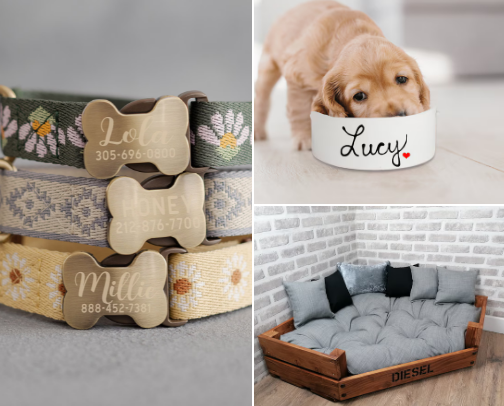 Doggo essential 🐶🐾 cover photo collage